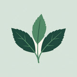 L-Teanina